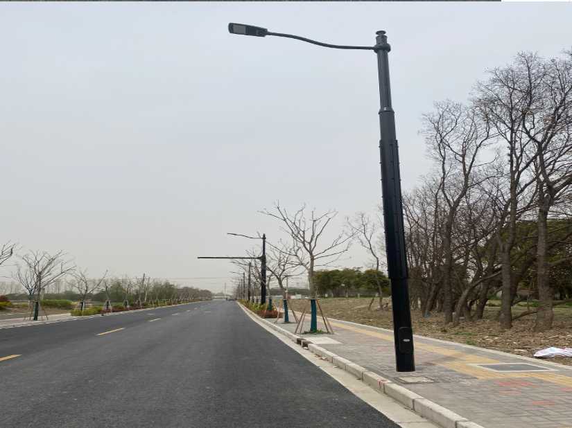 宿城区上海综合杆 太阳能路灯工程